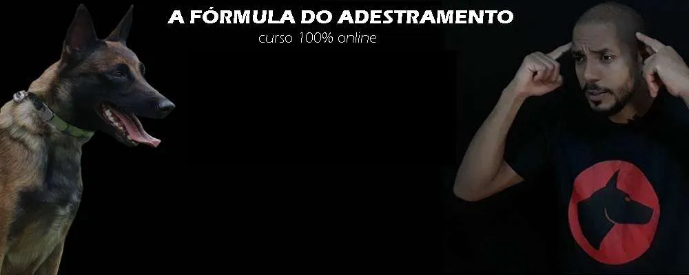 Capa: Adestramento 2.0 Dionatas Piloto: Download Completo!