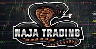Capa: Curso Naja Trader NTG: Baixe Agora o Conteúdo Completo