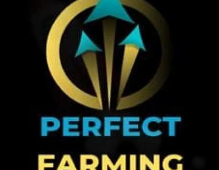 Capa: Download Perfect Farming: Domine o Facebook Ads Rápido!