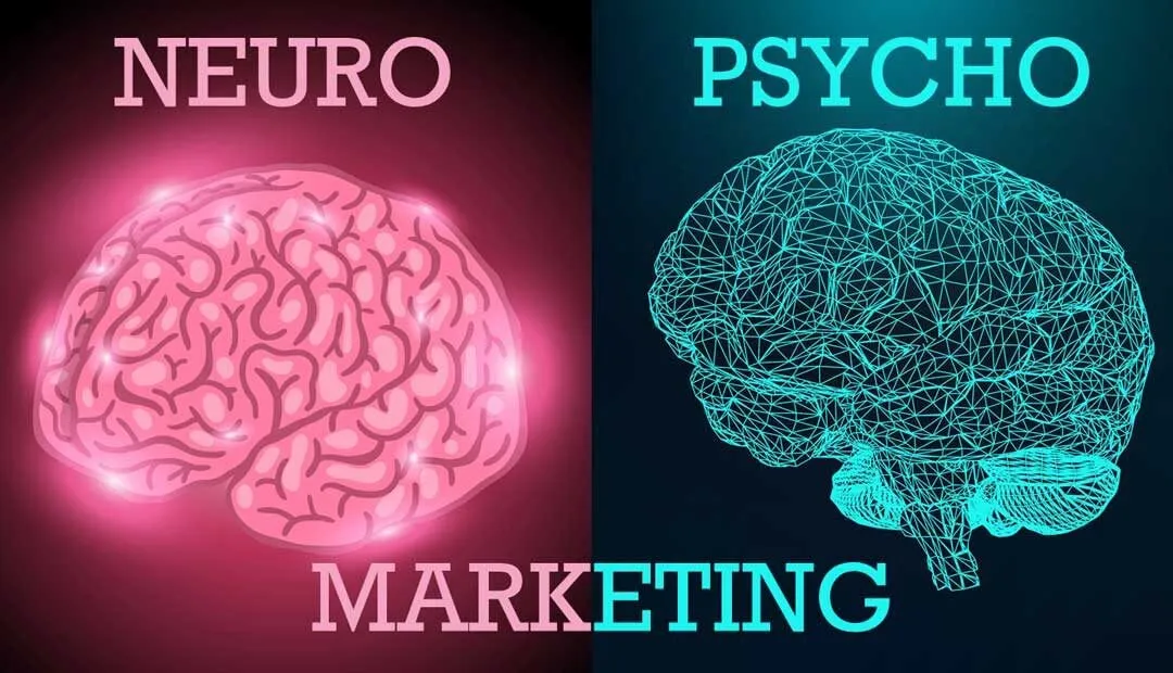 Capa: EAD Neuromarketing IBN: Baixar Curso Completo e Acesso Rápido