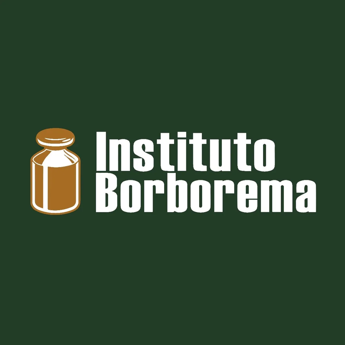 Capa: Instituto Borborema – Formação Básica: Baixe Agora!