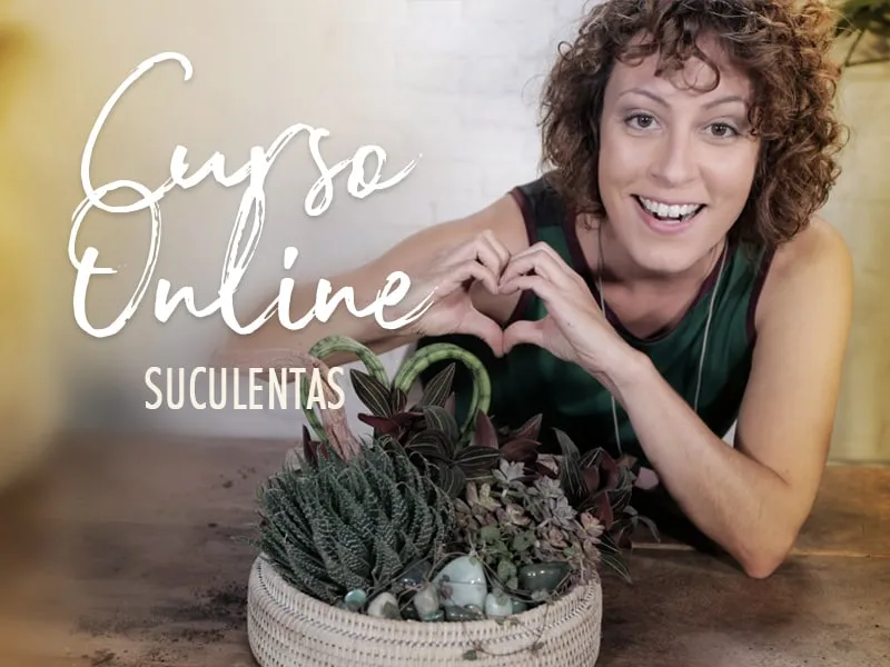 Capa: Carol Costa: Baixar Curso Arranjos com Suculentas Download Completo