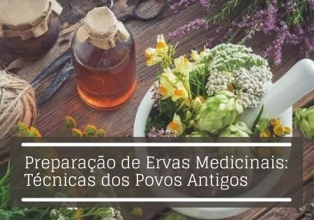 Capa: Baixar Preparação de Ervas Medicinais: Curso Antigo Afonso Lopes