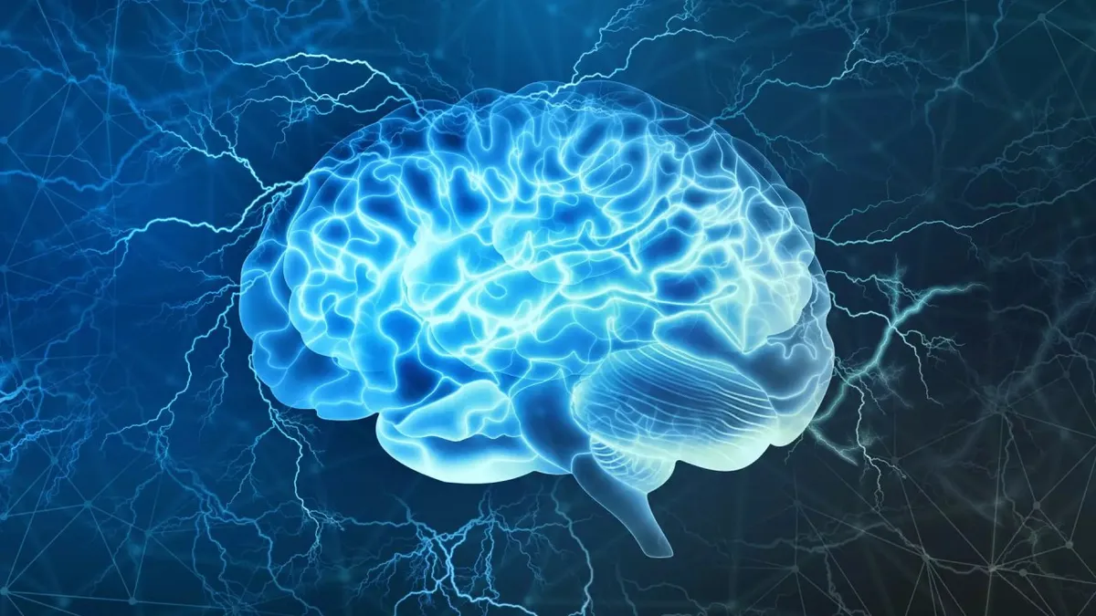 Capa: Neurociência e Comportamento Eslen Delanogare: Baixar Curso Completo!