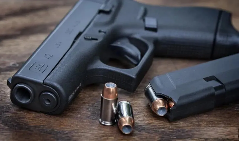 Capa: Baixar Curso Despachante de Arma de Fogo – Venilton Serpa Completo