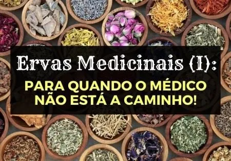 Capa: Ervas Medicinais (I) Afonso Lopes: Baixar Curso Completo!