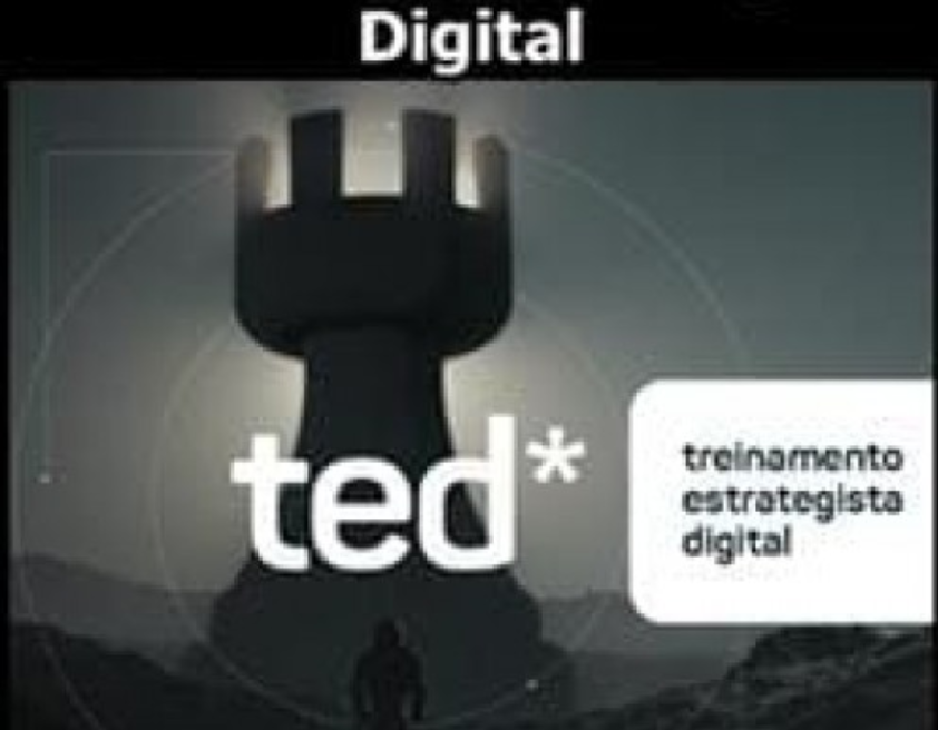 TED Treinamento Estrategista Digital Leandro Aguiari download