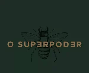 Curso Reels Super Poderoso de Paulo Cuenca para dominar o Instagram e aumentar conversões